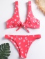 Sexy Pink Leaf Pattern Decorated Swimwear(2pcs)