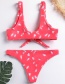Sexy Pink Leaf Pattern Decorated Swimwear(2pcs)