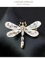 Fashion Gold Color Dragonfly Shape Decorated Brooch