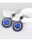 Elegant Blue Full Diamond Design Flower Shape Earrings
