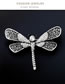 Fashion Silver Color Dragonfly Shape Decorated Brooch