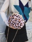 Fashion Pink Leopard Pattern Decorated Bag