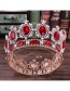 Fashion Red+rose Gold Full Diamond Decorated Hair Accessories