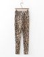 Fashion Brown Leopard Pattern Decorated Trousers