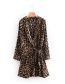 Fashion Brown Leopard Pattern Design V Neckline Dress