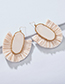 Elegant Gray Geometric Shape Design Pure Color Earrings