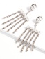Elegant Silver Color Full Diamond&pearls Decorated Earrings