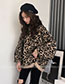 Fashion Khaki Leopard Pattern Design Round Neckline Sweater