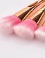 Fashion Rose Gold+pink Color Matching Design Cosmetic Brush(8pc)