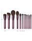 Fashion Purple+brown Flame Shape Design Cosmetic Brush(12pc)