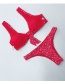 Sexy Red Flowers Pattern Design Split Swimwear