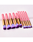 Fashion Pink Flat Shape Decorated Makeup Brush(10pcs)