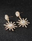 Fashion Silver Color Snowflake Shape Decorated Earrings