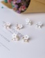 Fashion Rose Gold Flower Shape Decorated Earrings