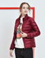 Fashion Light Blue Pure Color Decorated Down Jacket