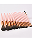 Fashion Pink Sector Shape Decorated Makeup Bruch (15 Pcs )