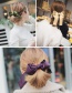 Fashion Purple Bowknot Shape Decorated Hairband