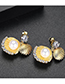 Fashion Gold Color Shell Shape Decorated Earrings