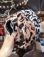 Fashion Pink Leopard Pattern Decorated Hair Hoop