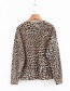 Fashion Brown Leopard Pattern Decorated Simple Sweater