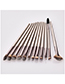Fashion Champagne Sector Shape Decorated Makeup Brush (12 Pcs )
