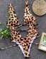 Fashion Multi-color Leopard Pattern Decorated Bikini
