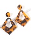 Fashion Light Leopard Resin Leopard Geometric Earrings