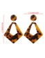 Fashion Light Leopard Resin Leopard Geometric Earrings