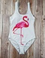 Fashion Flamingo White Printed Bikini
