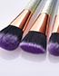 Fashion Purple 6 - Cone - Matte - Black Purple Hair