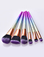Fashion Purple 6 - Cone - Matte - Black Purple Hair