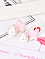 Fashion Gray Alloy Five-pointed Star Pearl Stud Earrings