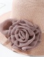 Fashion Gray Daxie Mesh Flower Straw Hat