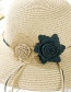 Fashion Korean Powder Big Leather Rope Double Straw Hat