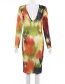 Fashion Color Printed V-neck Long-sleeved Temperament Dress