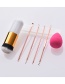 Fashion Gold Acne Needle 4 Sets + Chubby Pier + Puff