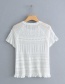 Fashion White Cutout Short-sleeved Sweater