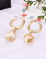 Fashion Gold Alloy Conch Earrings