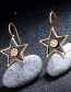 Fashion Black Zircon And Diamond Drop Oil Star Earrings