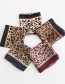 Fashion Navy Contrast Color Leopard Print Small Square