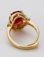 Fashion Rose Red Diamond Copper Inlaid Zircon Adjustable Ring