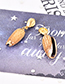 Fashion Gold Alloy Water Drop Shell Earrings