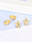 Fashion Black Alloy Shell Starfish Conch Stud Earring Set