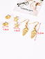 Fashion Gold Alloy Shell Starfish Conch Stud Earring Set