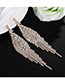 Fashion Silver Diamond Tassel Earrings