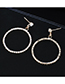 Fashion Gold Full Circle Earrings