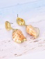 Fashion Gold Alloy Shell Screw Stud Earrings