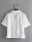 Fashion White Lapel Embroidery Shirt