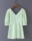 Fashion Green Plaid V-neck Print Dress