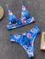 Fashion Blue Flower Print Split Swimsuit